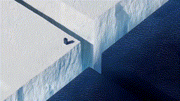 1717052780865664.gif